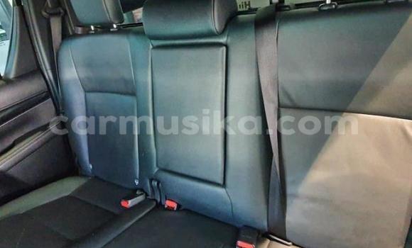 Buy Used Toyota Hilux Silver Car in Harare in Harare Buy Used Toyota Hilux Silver Car in Harare in Harare