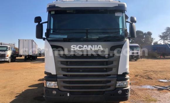 Nunua Ilio tumika Scania R420 Nyeupe Lori ndani ya Beitbridge nchini Matabeleland Kusini Nunua Ilio tumika Scania R420 Nyeupe Lori ndani ya Beitbridge nchini Matabeleland Kusini