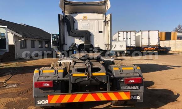 Nunua Ilio tumika Scania R420 Nyeupe Lori ndani ya Beitbridge nchini Matabeleland Kusini Nunua Ilio tumika Scania R420 Nyeupe Lori ndani ya Beitbridge nchini Matabeleland Kusini
