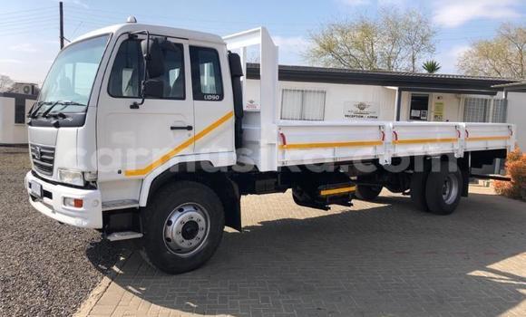 Buy Used Nissan UD White Truck in Beitbridge in Matabeleland South