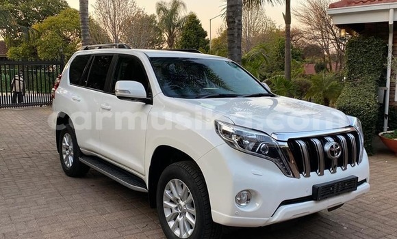 Buy Used Toyota Land Cruiser Prado White Car in Beitbridge in Matabeleland South