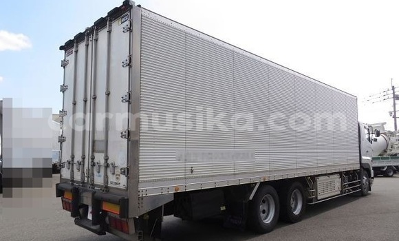 Tenga Tsaru Hino Ranger Chena Rori in Beitbridge in Matabeleland South Tenga Tsaru Hino Ranger Chena Rori in Beitbridge in Matabeleland South