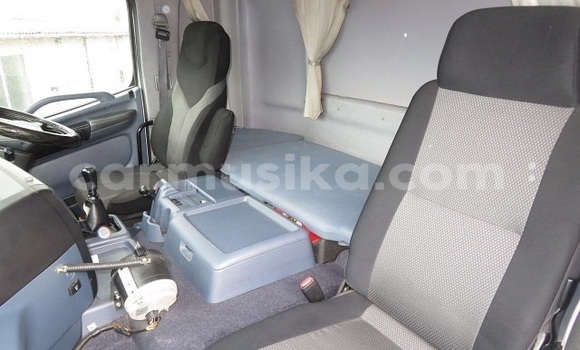 Tenga Tsaru Hino Ranger Chena Rori in Beitbridge in Matabeleland South Tenga Tsaru Hino Ranger Chena Rori in Beitbridge in Matabeleland South