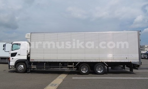 Tenga Tsaru Hino Ranger Chena Rori in Beitbridge in Matabeleland South Tenga Tsaru Hino Ranger Chena Rori in Beitbridge in Matabeleland South