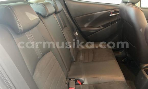 Acheter Occasion Voiture Mazda Mazda 2 Blanc à Harare, Harare Acheter Occasion Voiture Mazda Mazda 2 Blanc à Harare, Harare