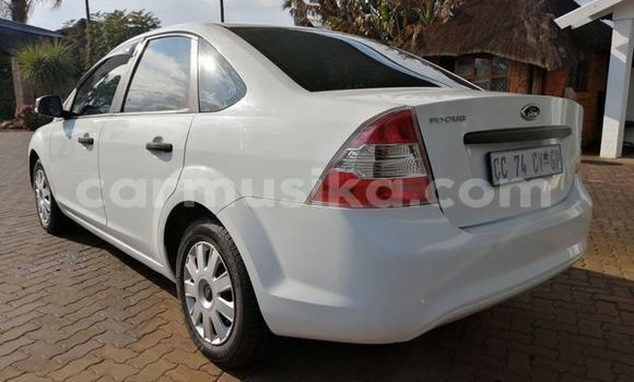 Buy Used Ford Focus White Car in Harare in Harare Buy Used Ford Focus White Car in Harare in Harare