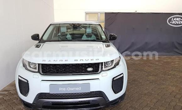 Buy Used Land Rover Range Rover Evoque White Car in Beitbridge in Matabeleland South