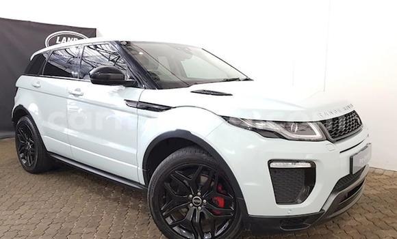 Nunua Ilio tumika Land Rover Range Rover Evoque Nyeupe Gari ndani ya Beitbridge nchini Matabeleland Kusini Nunua Ilio tumika Land Rover Range Rover Evoque Nyeupe Gari ndani ya Beitbridge nchini Matabeleland Kusini