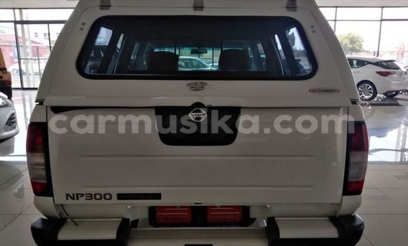 Tenga Tsaru Nissan Hardbody Chena Mota in Borrowdale in Harare Tenga Tsaru Nissan Hardbody Chena Mota in Borrowdale in Harare