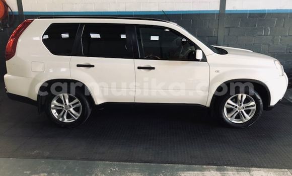 Tenga Tsaru Nissan X–Trail Zvimwe Mota in Beitbridge in Matabeleland South Tenga Tsaru Nissan X–Trail Zvimwe Mota in Beitbridge in Matabeleland South