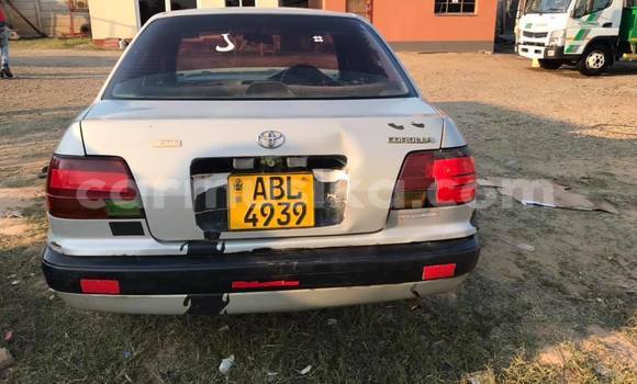 Buy Used Toyota Corolla Silver Car in Harare in Harare Buy Used Toyota Corolla Silver Car in Harare in Harare