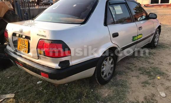 Buy Used Toyota Corolla Silver Car in Harare in Harare Buy Used Toyota Corolla Silver Car in Harare in Harare
