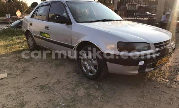 Buy Used Toyota Corolla Silver Car in Harare in Harare Buy Used Toyota Corolla Silver Car in Harare in Harare