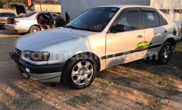 Buy Used Toyota Corolla Silver Car in Harare in Harare Buy Used Toyota Corolla Silver Car in Harare in Harare