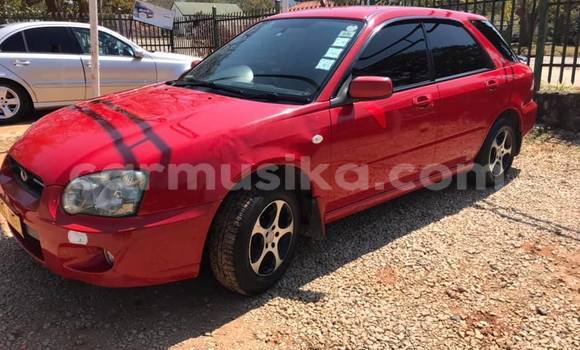 Buy Used Subaru Impreza Red Car in Harare in Harare Buy Used Subaru Impreza Red Car in Harare in Harare