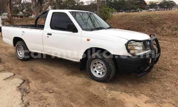 Nunua Ilio tumika Nissan Hardbody Nyeupe Gari ndani ya Harare nchini Harare