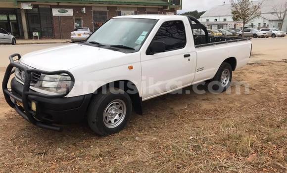 Buy Used Nissan Hardbody White Car in Harare in Harare Buy Used Nissan Hardbody White Car in Harare in Harare