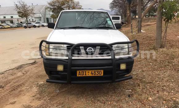 Buy Used Nissan Hardbody White Car in Harare in Harare Buy Used Nissan Hardbody White Car in Harare in Harare