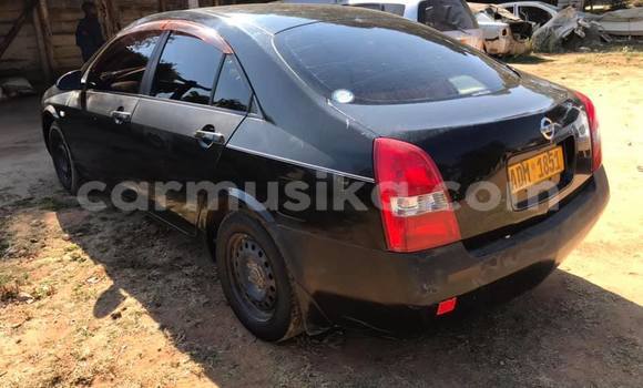 Buy Used Nissan Primera Black Car in Alexandra Park in Harare Buy Used Nissan Primera Black Car in Alexandra Park in Harare