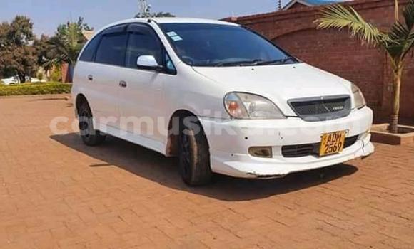 Acheter Occasion Voiture Toyota Nadia Blanc à Alexandra Park, Harare Acheter Occasion Voiture Toyota Nadia Blanc à Alexandra Park, Harare