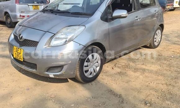 Buy Used Toyota IST Silver Car in Alexandra Park in Harare Buy Used Toyota IST Silver Car in Alexandra Park in Harare