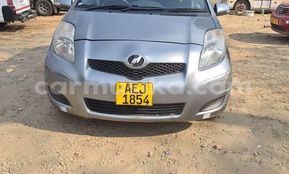 Acheter Occasion Voiture Toyota IST Gris à Alexandra Park, Harare Acheter Occasion Voiture Toyota IST Gris à Alexandra Park, Harare