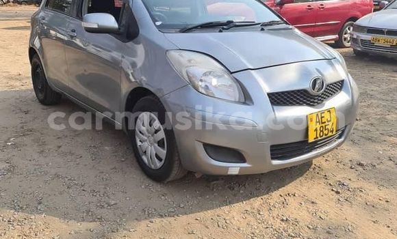 Acheter Occasion Voiture Toyota IST Gris à Alexandra Park, Harare Acheter Occasion Voiture Toyota IST Gris à Alexandra Park, Harare