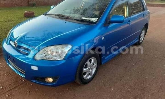 Buy Used Toyota Runx Blue Car in Alexandra Park in Harare