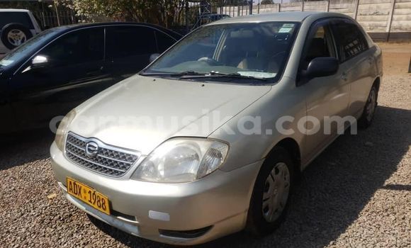 Buy Used Toyota Corolla Silver Car in Alexandra Park in Harare