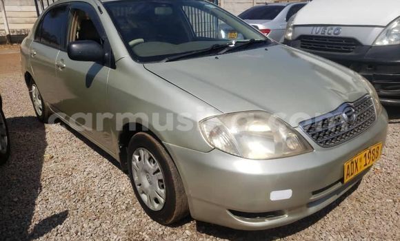 Acheter Occasion Voiture Toyota Corolla Gris à Alexandra Park, Harare Acheter Occasion Voiture Toyota Corolla Gris à Alexandra Park, Harare