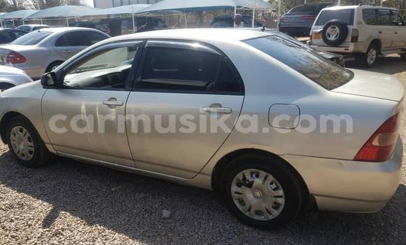 Acheter Occasion Voiture Toyota Corolla Gris à Alexandra Park, Harare Acheter Occasion Voiture Toyota Corolla Gris à Alexandra Park, Harare