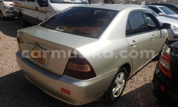 Acheter Occasion Voiture Toyota Corolla Gris à Alexandra Park, Harare Acheter Occasion Voiture Toyota Corolla Gris à Alexandra Park, Harare