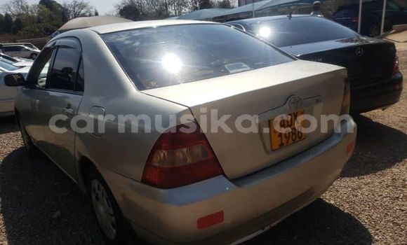 Acheter Occasion Voiture Toyota Corolla Gris à Alexandra Park, Harare Acheter Occasion Voiture Toyota Corolla Gris à Alexandra Park, Harare