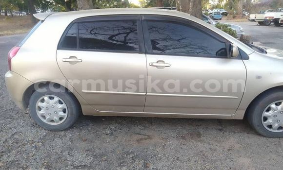 Acheter Occasion Voiture Toyota Runx Gris à Alexandra Park, Harare