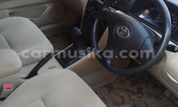 Acheter Occasion Voiture Toyota Runx Gris à Alexandra Park, Harare Acheter Occasion Voiture Toyota Runx Gris à Alexandra Park, Harare