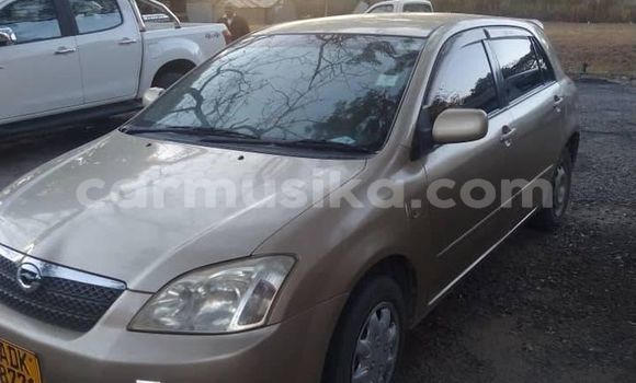 Acheter Occasion Voiture Toyota Runx Gris à Alexandra Park, Harare Acheter Occasion Voiture Toyota Runx Gris à Alexandra Park, Harare