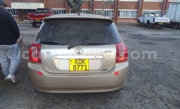 Acheter Occasion Voiture Toyota Runx Gris à Alexandra Park, Harare Acheter Occasion Voiture Toyota Runx Gris à Alexandra Park, Harare