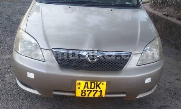 Acheter Occasion Voiture Toyota Runx Gris à Alexandra Park, Harare Acheter Occasion Voiture Toyota Runx Gris à Alexandra Park, Harare