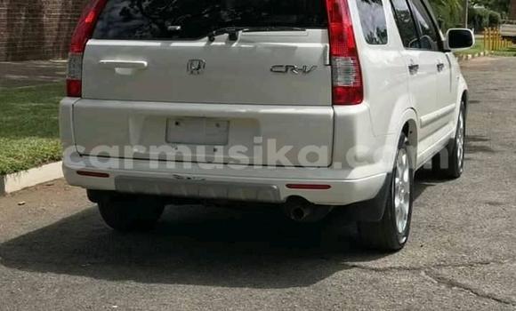 Acheter Occasion Voiture Honda CR–V Blanc à Alexandra Park, Harare Acheter Occasion Voiture Honda CR–V Blanc à Alexandra Park, Harare