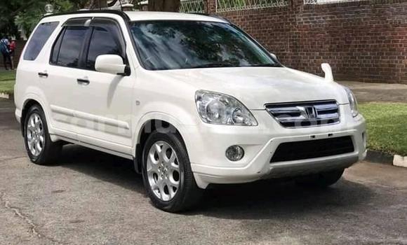 Acheter Occasion Voiture Honda CR–V Blanc à Alexandra Park, Harare Acheter Occasion Voiture Honda CR–V Blanc à Alexandra Park, Harare