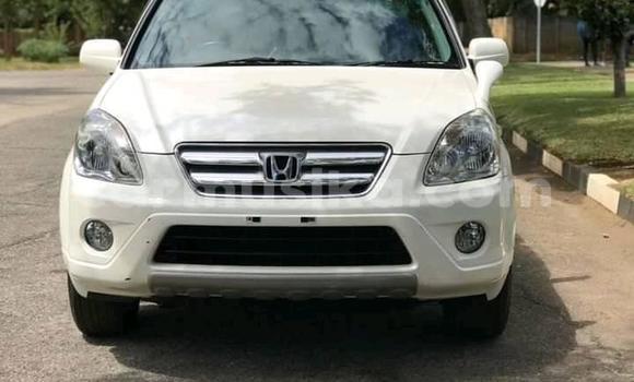 Acheter Occasion Voiture Honda CR–V Blanc à Alexandra Park, Harare Acheter Occasion Voiture Honda CR–V Blanc à Alexandra Park, Harare