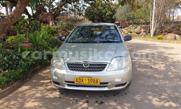 Buy Used Toyota Corolla Silver Car in Alexandra Park in Harare