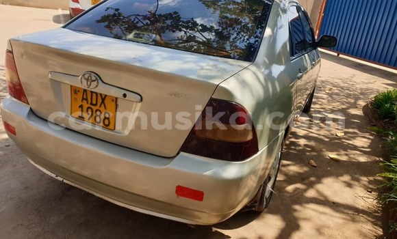 Acheter Occasion Voiture Toyota Corolla Gris à Alexandra Park, Harare Acheter Occasion Voiture Toyota Corolla Gris à Alexandra Park, Harare