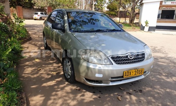 Acheter Occasion Voiture Toyota Corolla Gris à Alexandra Park, Harare Acheter Occasion Voiture Toyota Corolla Gris à Alexandra Park, Harare