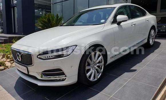 Acheter Occasion Voiture Volvo S90 Blanc à Beitbridge, Matabeleland South