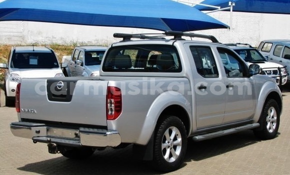 Tenga Tsaru Nissan Navara Sirivha Mota in Beitbridge in Matabeleland South Tenga Tsaru Nissan Navara Sirivha Mota in Beitbridge in Matabeleland South
