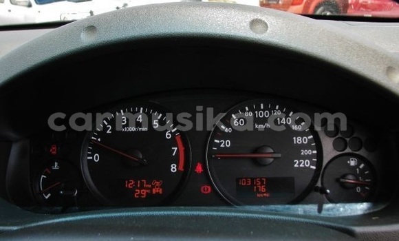 Tenga Tsaru Nissan Navara Sirivha Mota in Beitbridge in Matabeleland South Tenga Tsaru Nissan Navara Sirivha Mota in Beitbridge in Matabeleland South