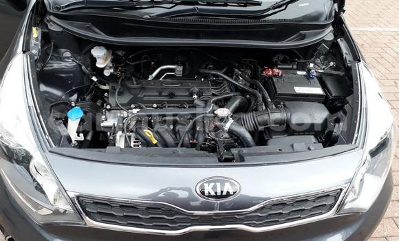 Buy Used Kia Rio Black Car in Beitbridge in Matabeleland South Buy Used Kia Rio Black Car in Beitbridge in Matabeleland South
