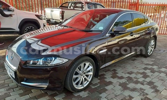 Acheter Occasion Voiture Jaguar XF Blanc à Beitbridge, Matabeleland South