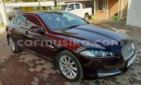 Nunua Ilio tumika Jaguar XF Nyeupe Gari ndani ya Beitbridge nchini Matabeleland Kusini Nunua Ilio tumika Jaguar XF Nyeupe Gari ndani ya Beitbridge nchini Matabeleland Kusini